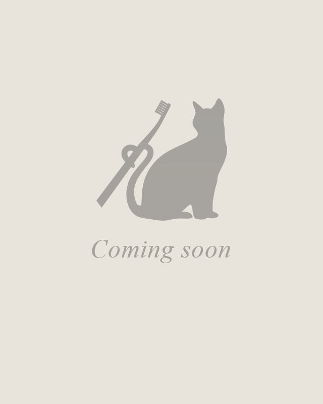 院長写真準備中です