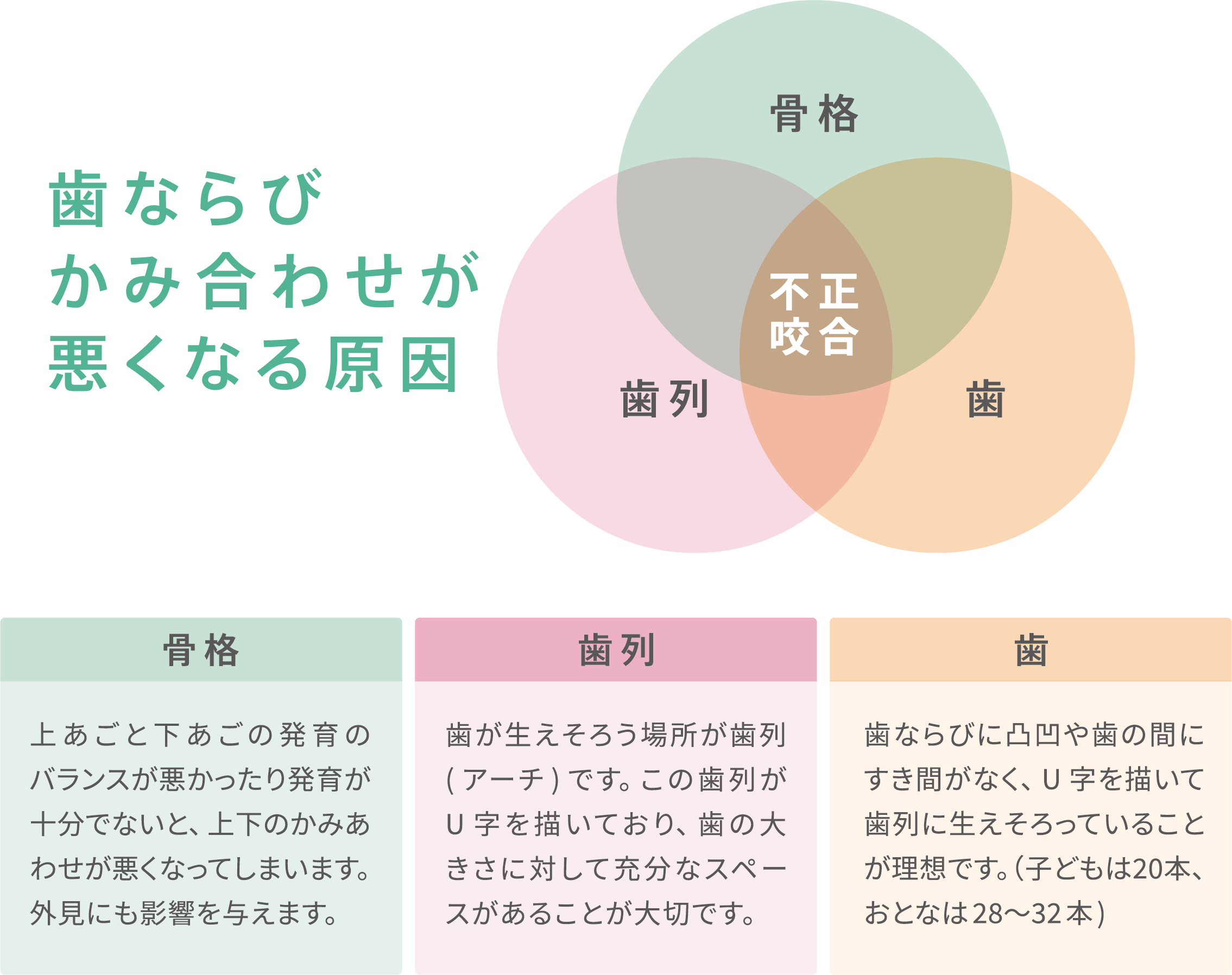 歯ならび、かみ合わせが悪くなる原因